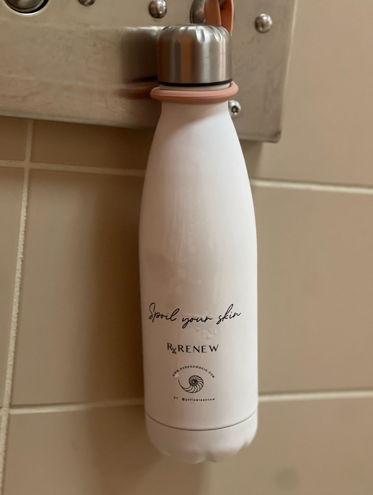 Stainless Steel Water Bottle